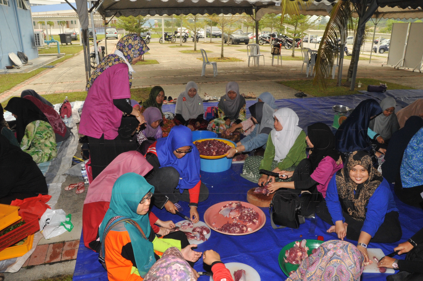 PRO15 150 KORBAN HAS 6948